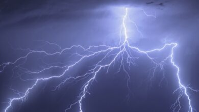 Lightning Kills Six