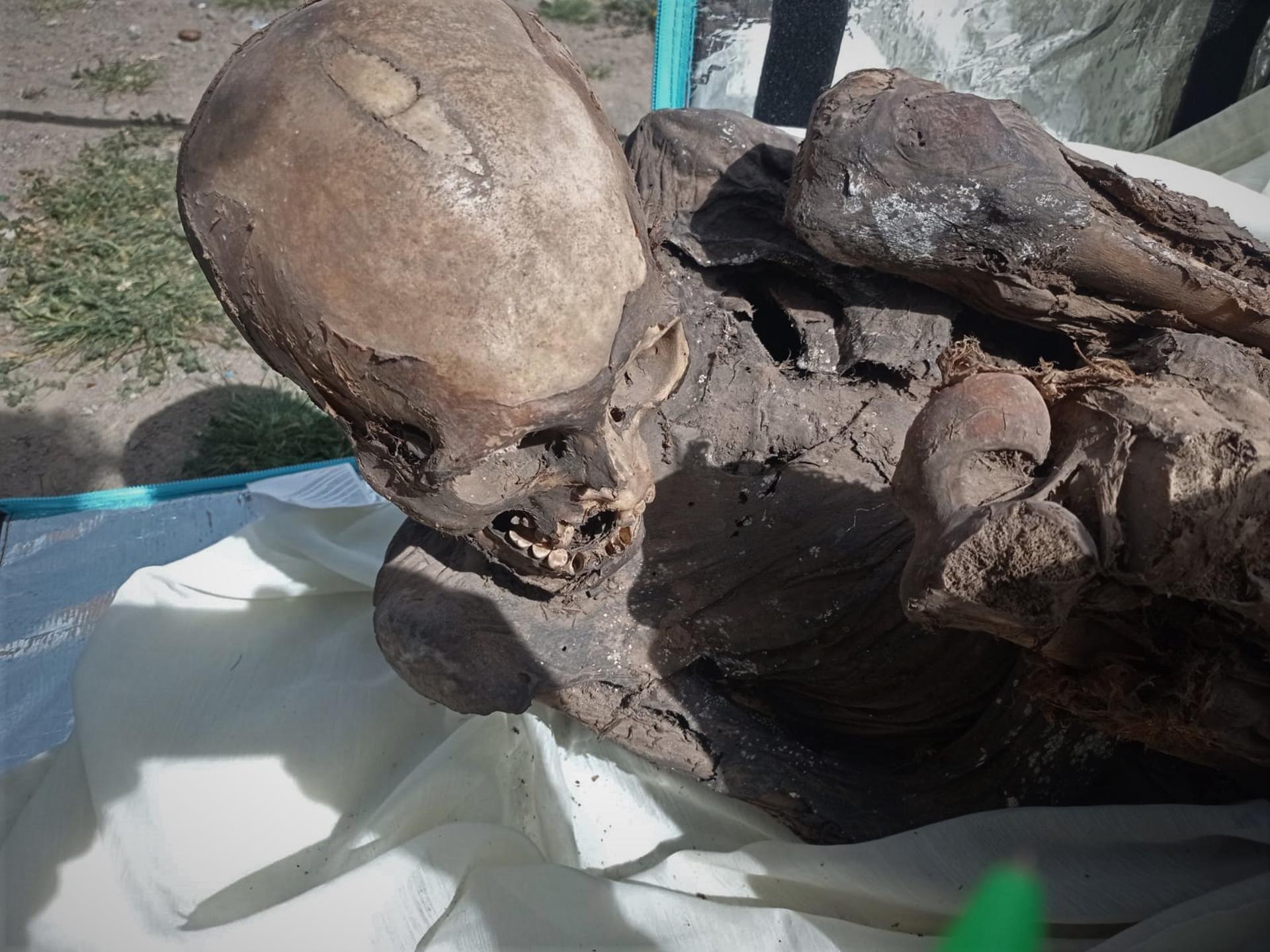 Delivery Man found with 800 year old mummy in a backpack