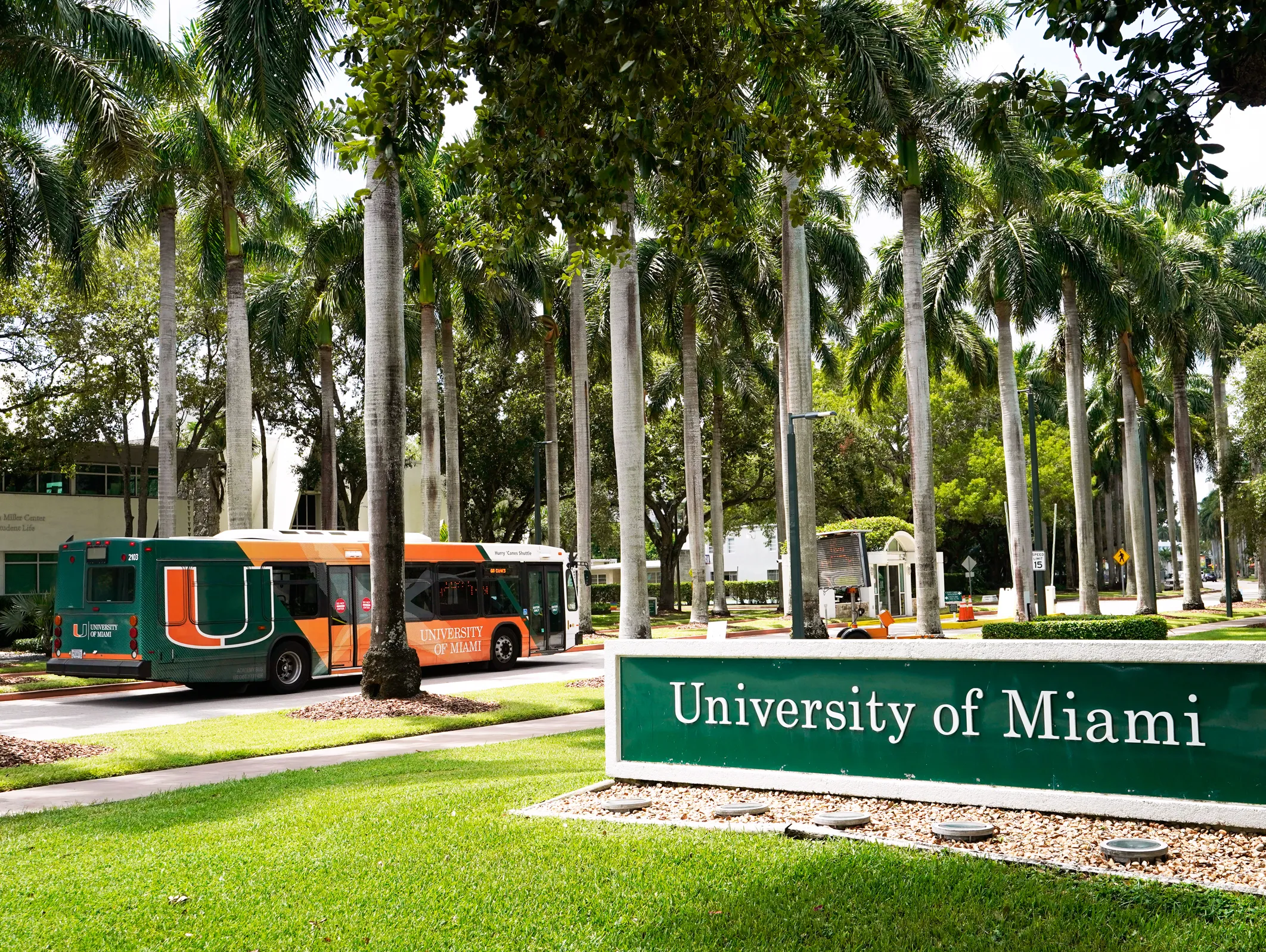 Pursue your studies in USA. Good news! University of Miami Stamps Scholarship is currently open. In this article, we will explain in detail this scholarship, its benefits and the step-by-step application process.