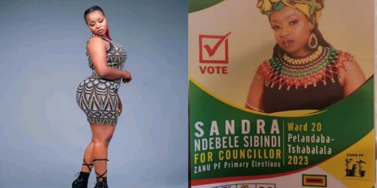 Sandra Ndebele, a popular musician and dancer, has announced her intention to run in the upcoming Zanu-PF primary elections, which will take place this weekend.