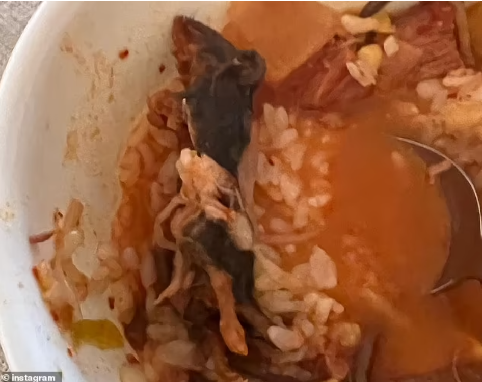Popular Restaurant Closed For Serving Rat In Couple's Beef Stew