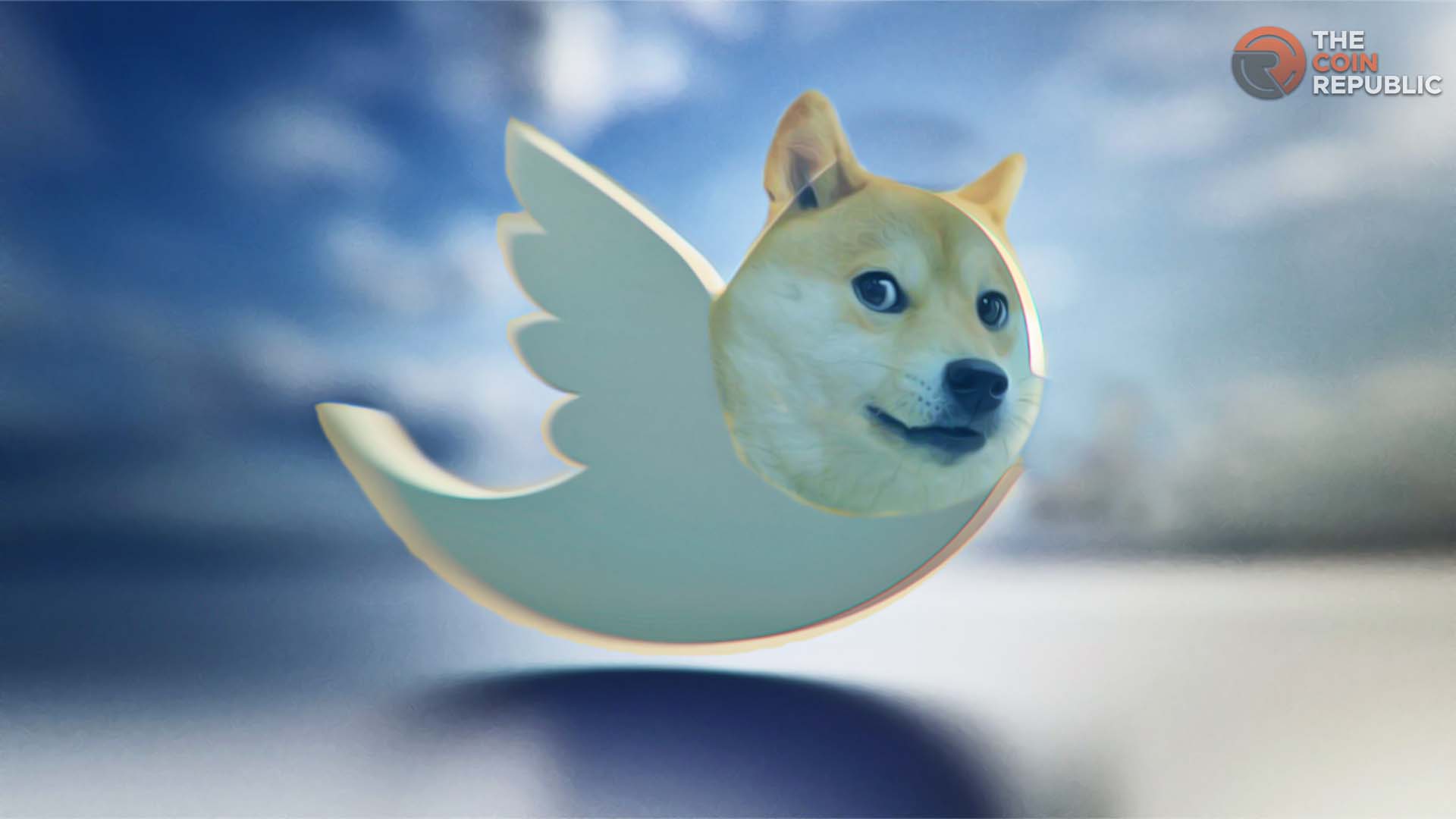 Dogecoin jumps as Musk's Twitter flips logo to Shiba Inu dog