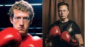 Most Expensive Fight: Elon Musk, Mark Zuckerberg To Fight In A Cage Match