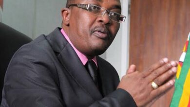 Mzembi blasts Mnangagwa for his bid to block Kasukuwere