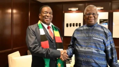 Mnangagwa and former Minister