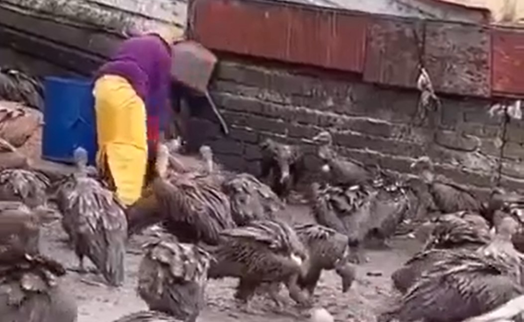 Man chopping off human bones and feeding them to vultures