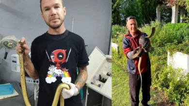 Well-known snake catcher died after Cape Cobra bite Photos: Facebook/Rico Pentz