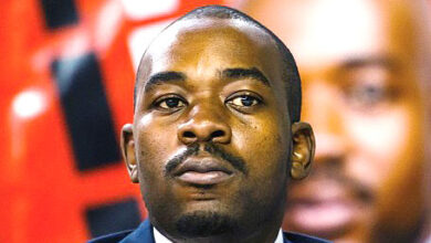Nelson Chamisa quits CCC