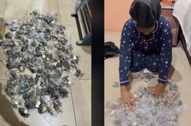 Woman saves over R12k in coins. Images: TikTok@
