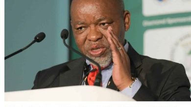 Gwede Mantashe